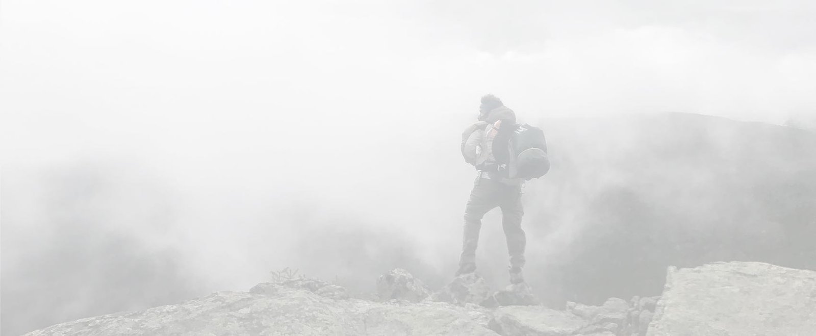 balazs-busznyak-3mtcyvbAqzM-unsplash Brother T230